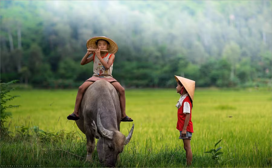 Ảnh minh họa: INT