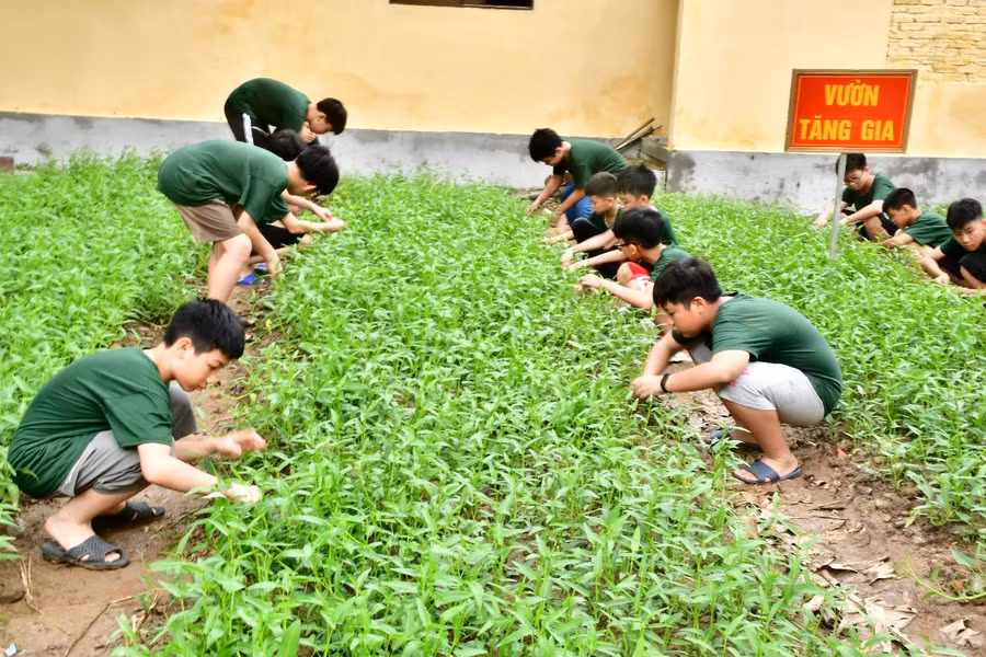 Trải nghiệm tăng gia sản xuất. Ảnh: M.C Trải nghiệm tăng gia sản xuất. Ảnh: M.C