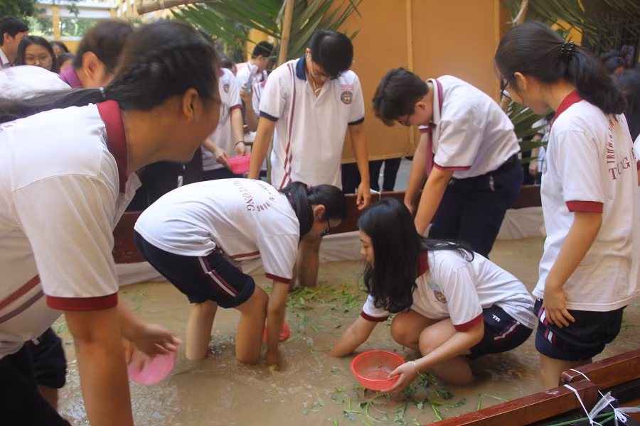 Thú vị với trò chơi bắt cá