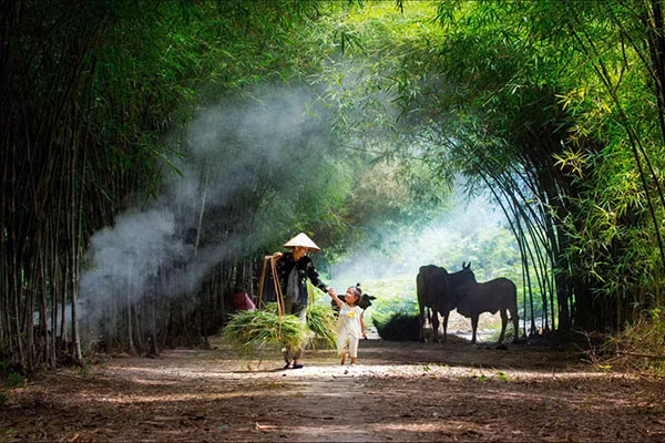Ảnh minh họa: INT.