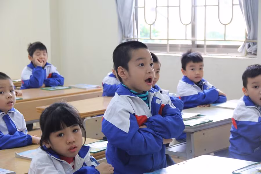 Chất lượng đích thực với đánh giá không điểm số