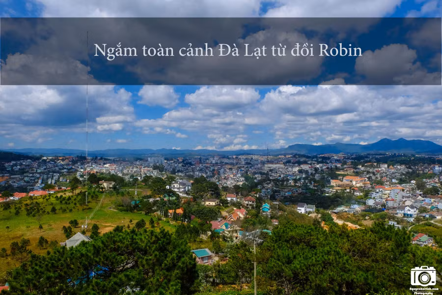 Đồi Robin là nơi cao nhất trong trung tâm thành phố, có cáp treo để qua Thiền Viện Trúc Lâm, trong khuôn viên cáp treo có nhà hàng buffet rau khá ngon. Từ trung tâm, bạn đi ngược về phía đèo Prenn, qua khỏi bến xe Đà Lạt sẽ có đường bên phải chạy thẳng lên cáp treo.