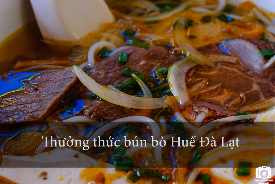 Trời lạnh mà ăn bún bò nóng hổi, cay the the thì còn gì bằng. Đà Lạt có nhiều quán bán rất ngon như Công (đường Phù Đổng Thiên Vương) hay khu ấp Ánh Sáng trước chợ Đà Lạt.