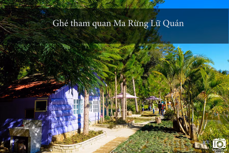 Từ trung tâm thành phố các bạn đi về hướng Thung Lũng Vàng, tới một ngã ba rất lớn, nếu rẽ phải sẽ đi làng Cù Lần, hồ Dankia, rẽ trái sẽ đi Ma Rừng lữ quán. Từ ngã ba này, đi thêm chừng 5 km sẽ thấy biển báo bên phải, đi theo lối đó xuống một thung lũng, gần cuối đường là tới.
