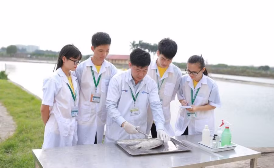 Một tiết thực hành của sinh viên ngành Nuôi trồng thủy sản, Học viện Nông nghiệp Việt Nam.