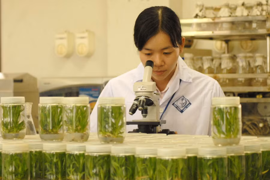 Sinh viên Trường ĐH Cần Thơ thực hành tại phòng thí nghiệm.