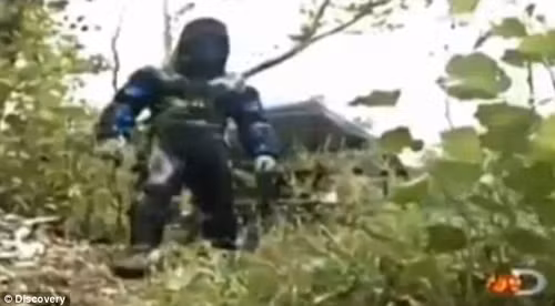 Nhà khoa học Mỹ tự cho trăn khổng lồ Amazon nuốt chửng ảnh 1