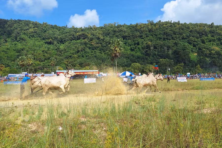 Các vòng đua diễn ra hào hứng và sôi nổi.