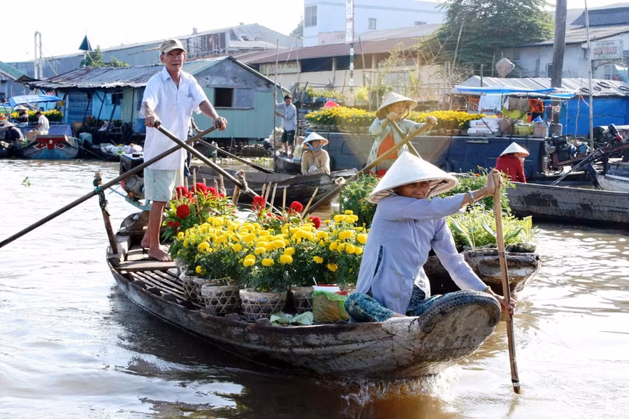 Những chuyến xuồng ghe chở hoa kiểng Tết làm nhộn nhịp chợ nổi. Ảnh: Q. Ngữ.