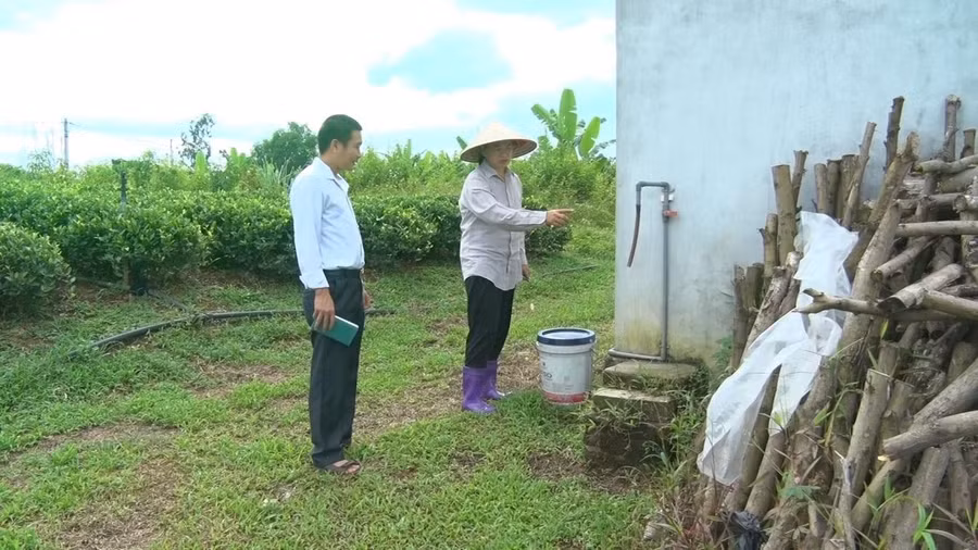 Chị Lý Thị Hương, Chủ tịch HĐQT-Giám Đốc HTX Chè Hương Việt là phụ nữ gương mẫu đi đầu phong trào thu gom rác thải nguy hại trên đồng ruộng tại xã Quyết Thắng, TP Thái Nguyên. Chị Lý Thị Hương, Chủ tịch HĐQT-Giám Đốc HTX Chè Hương Việt là phụ nữ gương mẫu đi đầu phong trào thu gom rác thải nguy hại trên đồng ruộng tại xã Quyết Thắng, TP Thái Nguyên.