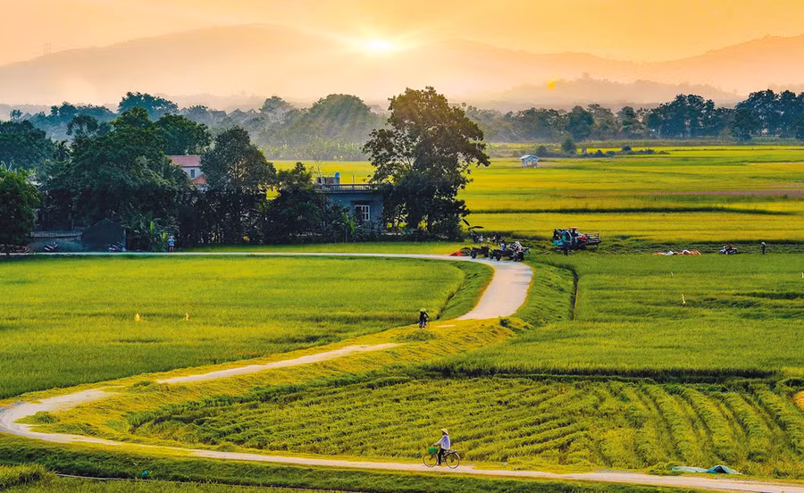 Ảnh minh họa: INT