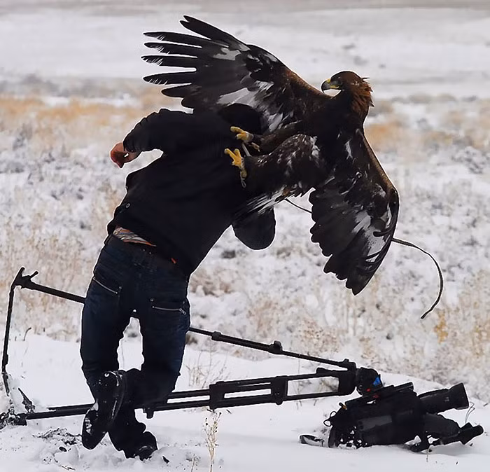 dedicated-photographers-24__700.