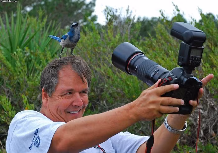extreme-photographers-65__700.