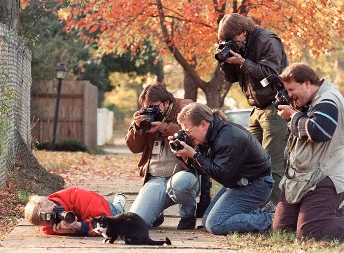 dedicated-photographers-14__700.