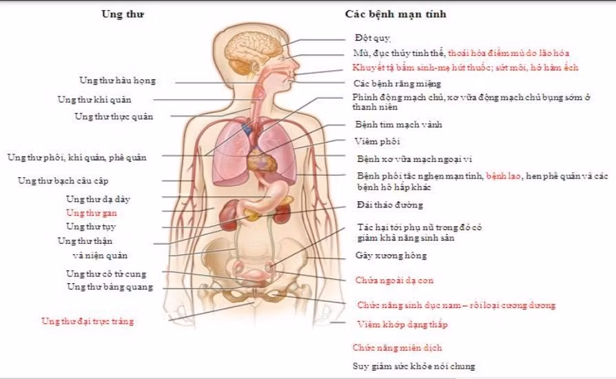 Các bệnh do sử dụng sản phẩm thuốc lá truyền thống gây ra. Ảnh chụp từ tài liệu hướng dẫn của Bộ GD&ĐT.