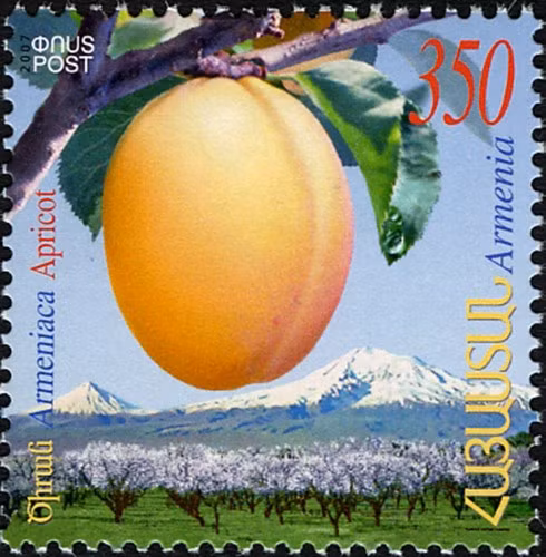 Quả mơ tây qua tem bưu chính của Cộng hòa Armenia.