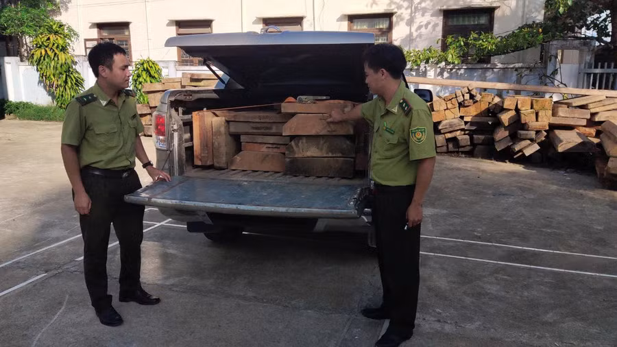 14 phách gỗ không có hồ sơ pháp lý được giấu trên xe bán tải.