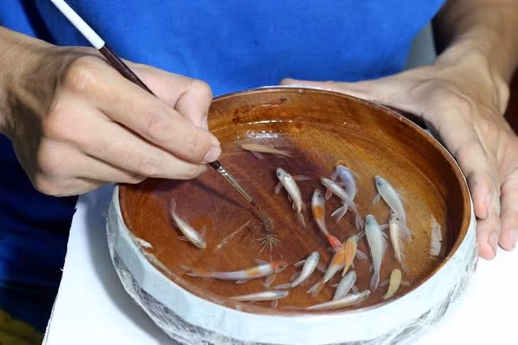Tranh 3D, tranh cá, tranh cá 3D, 8x, Lê Phạm Chiến Thắng, tranh nghệ thuật, tranh-3D, tranh-cá, tranh-cá-3D, Lê-Phạm-Chiến-Thắng, tranh-nghệ-thuật