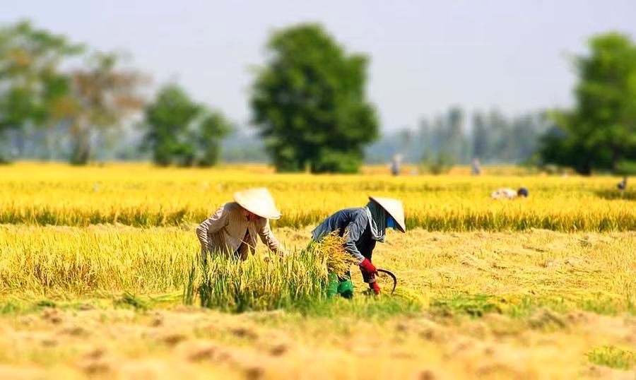 Ảnh minh họa: INT