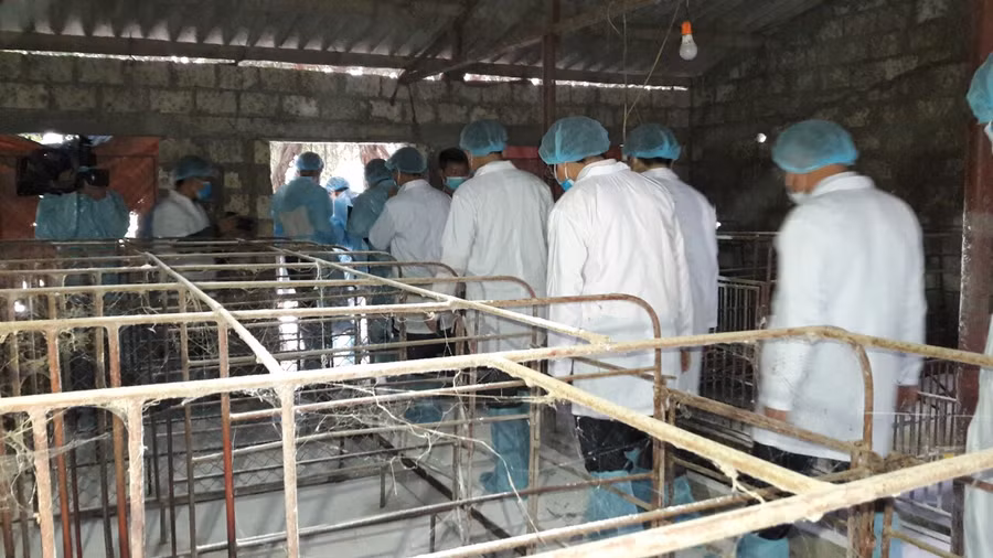 Đoàn công tác Bộ NN&PTNT kiểm tra chuồng chăn nuôi tại vùng nhiễm dịch Đoàn công tác Bộ NN&PTNT kiểm tra chuồng chăn nuôi tại vùng nhiễm dịch