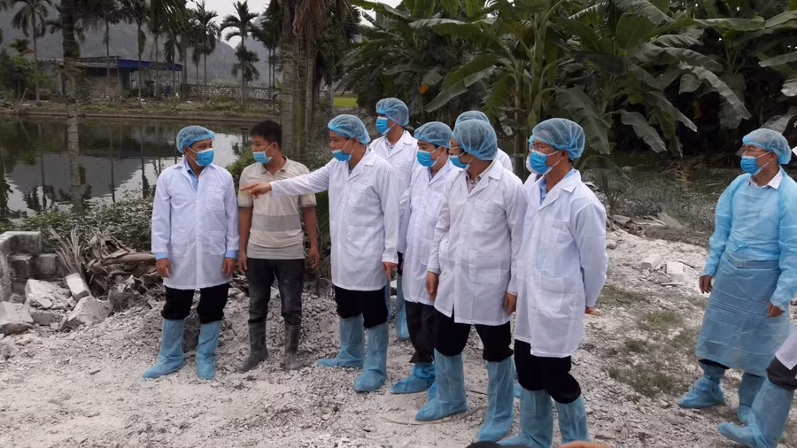 Đoàn công tác của Bộ Nông nghiệp và Phát triển nông thôn kiểm tra DTLCP tại Hải Phòng