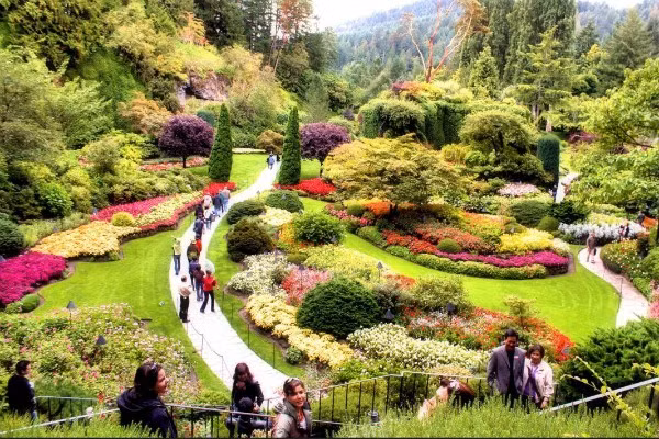 2. Vườn Butchart, Canada: Tọa lạc tại thành phố Victoria, Vancouver (Canada), Butchart là khu vườn xinh đẹp nổi tiếng nhất Canada và được mệnh danh là “vườn địa đàng” ở hạ giới của Bắc Mỹ. Vào mùa xuân, hàng ngàn bông hoa trong khắp khuôn viên vườn nở rực rỡ tạo thành những mảng màu đầy mê hoặc thu hút hàng ngàn người yêu hoa đến tham quan mỗi ngày. 2. Butchart Gardens: Tọa lạc tại thành phố Victoria, Vancouver (Canada), Butchart là khu vườn xinh đẹp nổi tiếng nhất Canada và được mệnh danh là “vườn địa đàng” ở hạ giới của Bắc Mỹ. Vào mùa xuân, hàng ngàn bông hoa trong khắp khuôn viên vườn nở rực rỡ tạo thành những mảng màu đầy mê hoặc thu hút hàng ngàn người yêu hoa đến tham quan mỗi ngày.