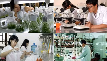 Năm 2015, Bộ GD&ĐT được phân bổ kinh phí sự nghiệp khoa học và công nghệ 6.480 triệu đồng