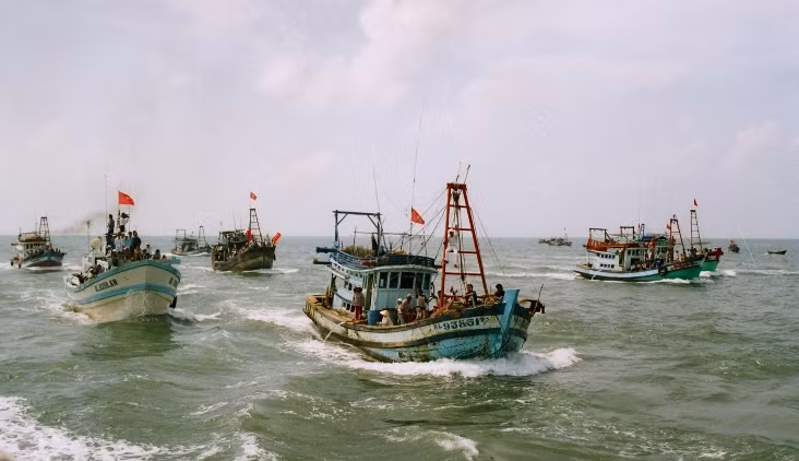 Ảnh minh họa