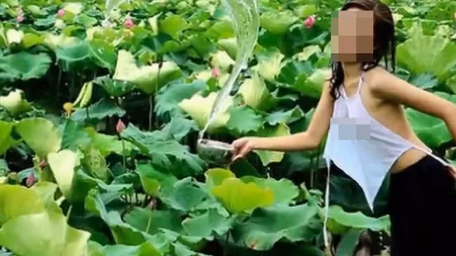 Do mat voi hinh anh cua thieu nu Viet ben hoa sen