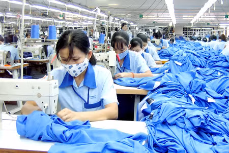 Quy định thành lập tổ chức chính trị, chính trị - xã hội tại doanh nghiệp