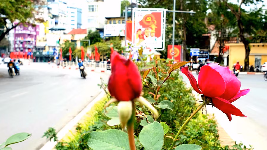 Hà Nội trang hoàng rực rỡ cờ hoa chào mừng Đại hội XIII của Đảng ảnh 9