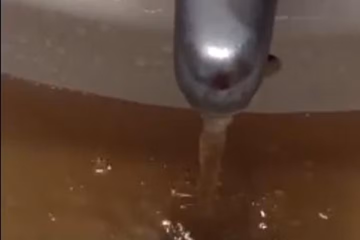 Hà Nội: Hãi hùng nước sạch có giun, bọ bơi tung tăng