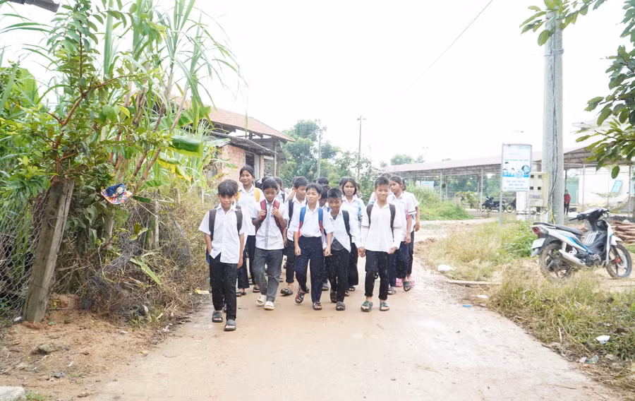Những hôm cha mẹ bận lên nương không đón được lũ trẻ rủ nhau đi bộ về nhà.