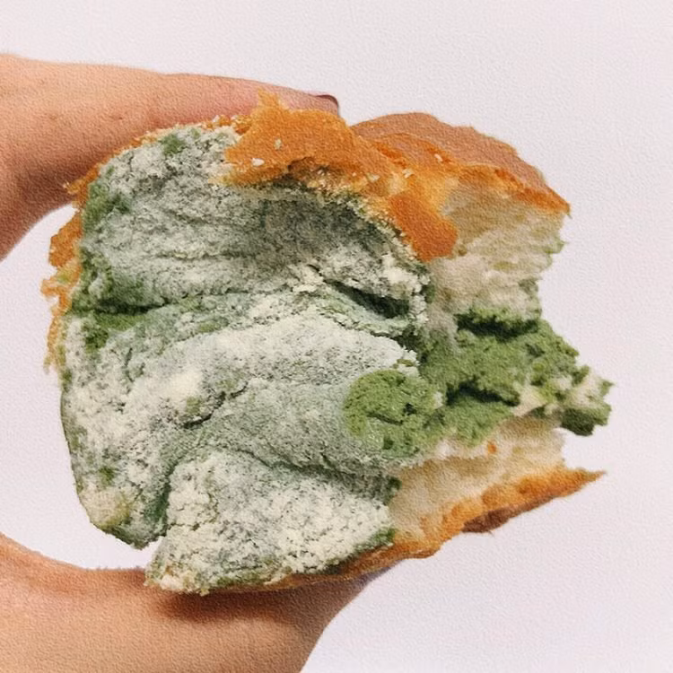 Món bánh mì nhìn như bị mốc.