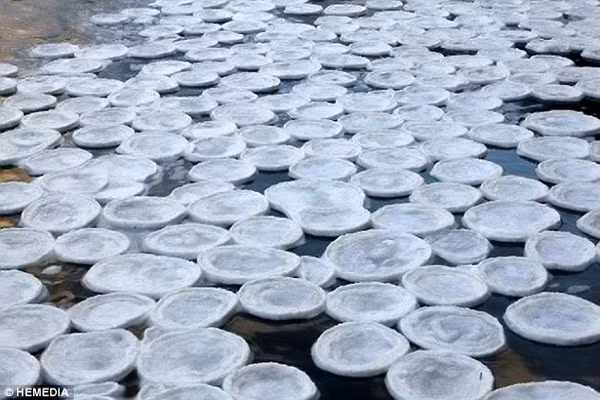 TẾTNhững trường hợp biến hóa kỳ lạ của thiên nhiên trên thế giới