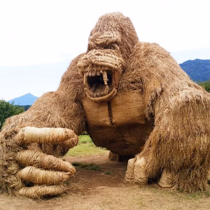 Khỉ đột