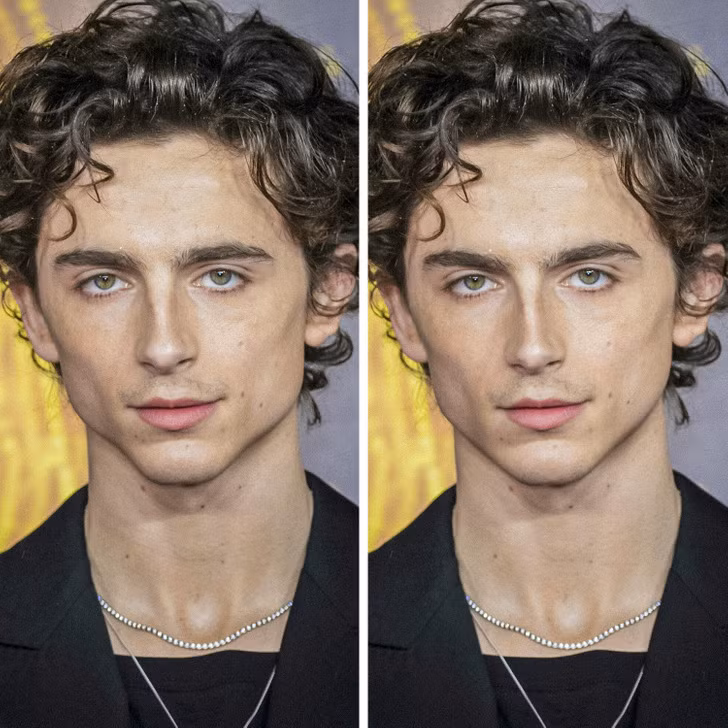 Timothée Chalamet