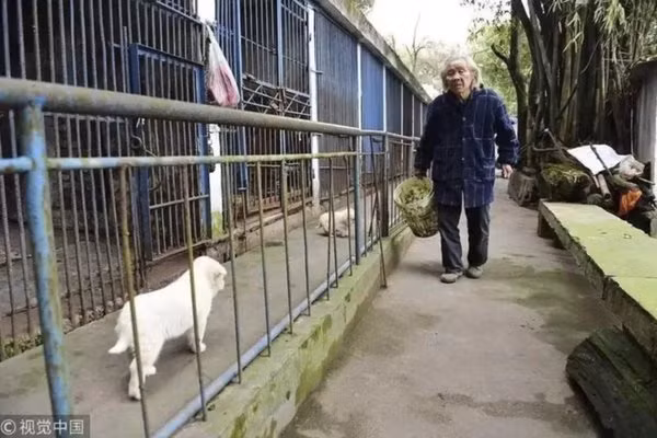 Cụ ông dành 30 năm cuộc đời để chăm sóc "vườn thú cô đơn nhất thế giới".