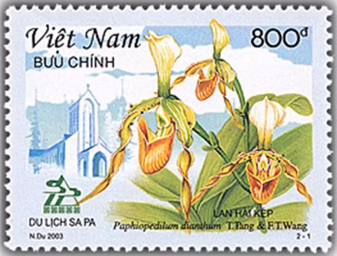 Hoa đặc trưng Sapa là lan hài kép trên tem bưu chính.