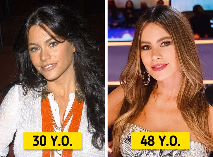 Sofia Vergara.
