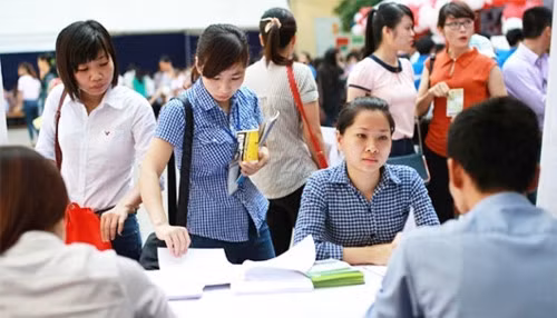 Nhà trường và doanh nghiệp có thể liên kết tổ chức đào tạo trong đó doanh nghiệp có thể đảm nhận đến 40% chương trình đào tạo