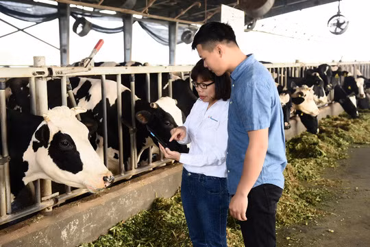 FrieslandCampina Việt Nam nhận giải thưởng trao quyền cho phụ nữ khu vực châu Á - Thái Bình Dương - Ảnh 3.