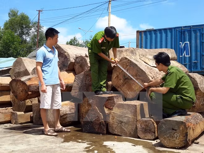 Mất xe tang vật vụ hàng chục mét khối gỗ lậu “lọt” qua biên giới