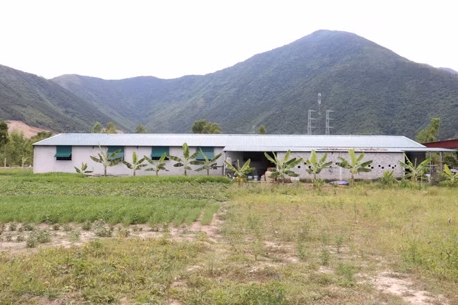Chàng kỹ sư 9X đã đầu tư hơn 1 tỷ đồng cho việc xây dựng trang trại và con giống.