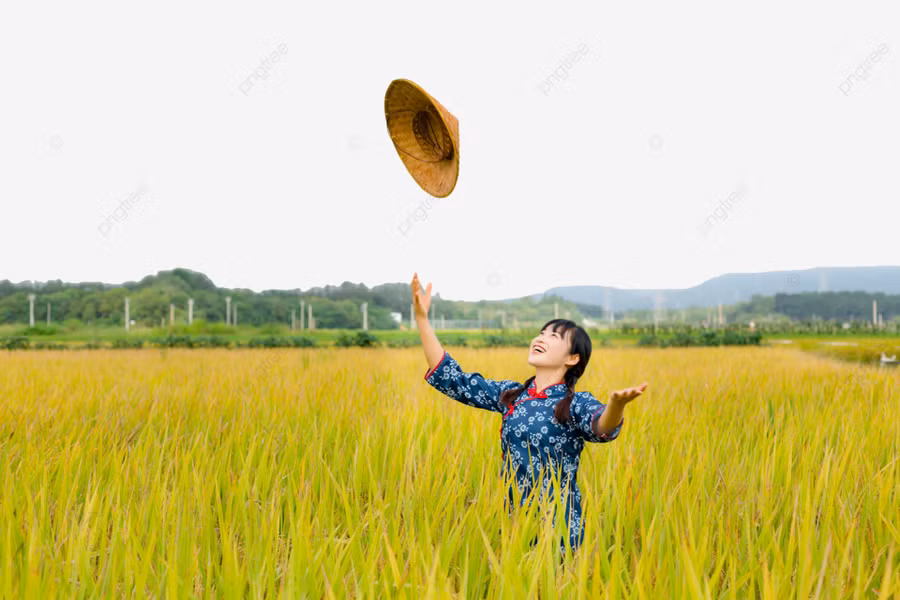 Ảnh minh họa ITN.