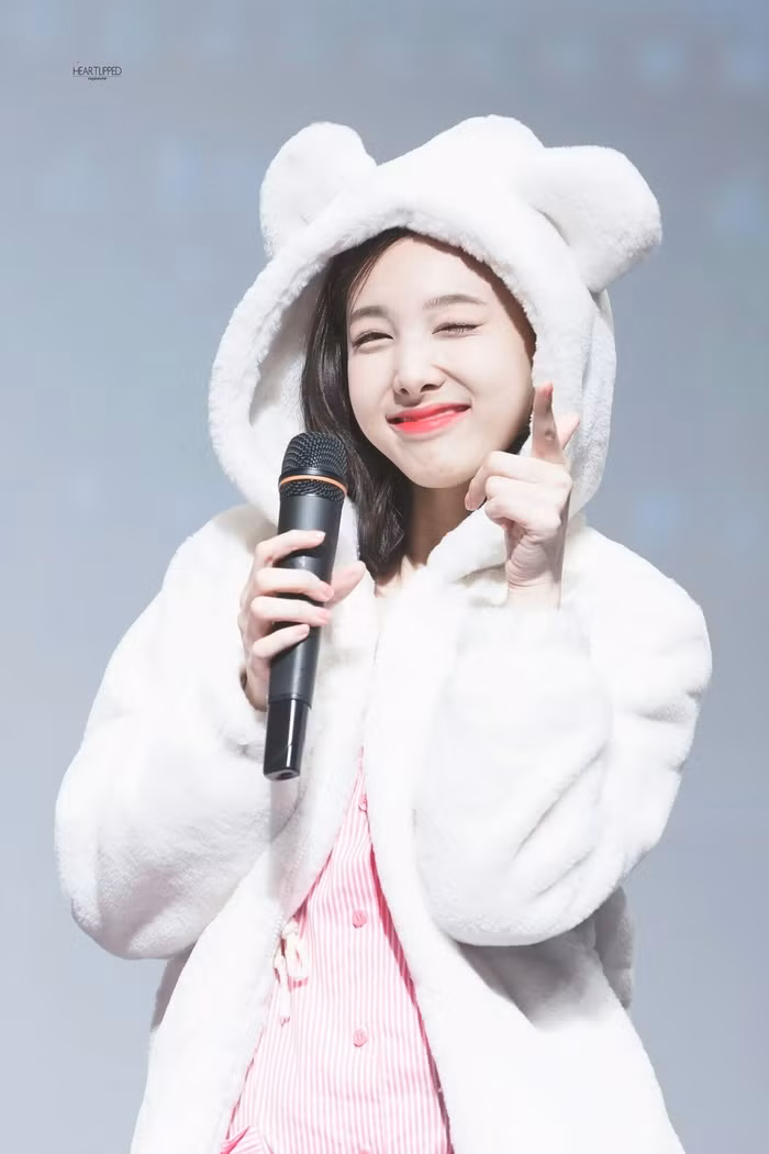 14. Nayeon (Ca sĩ chính của TWICE)