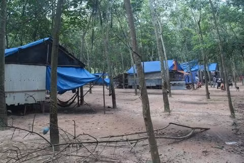 Xóm Việt kiều. Xóm Việt kiều.