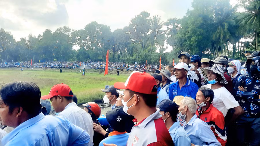 Hàng năm, Hội đua bò Bảy Núi - An Giang thu hút rất đông du khách và giới mộ điệu thưởng thức, cổ vũ. Hàng năm, Hội đua bò Bảy Núi - An Giang thu hút rất đông du khách và giới mộ điệu thưởng thức, cổ vũ.