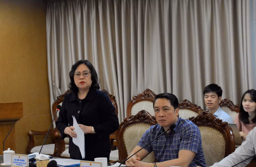Thứ trưởng Ngô Thị Minh - Phó trưởng Ban Chỉ đạo phát biểu tại cuộc họp.