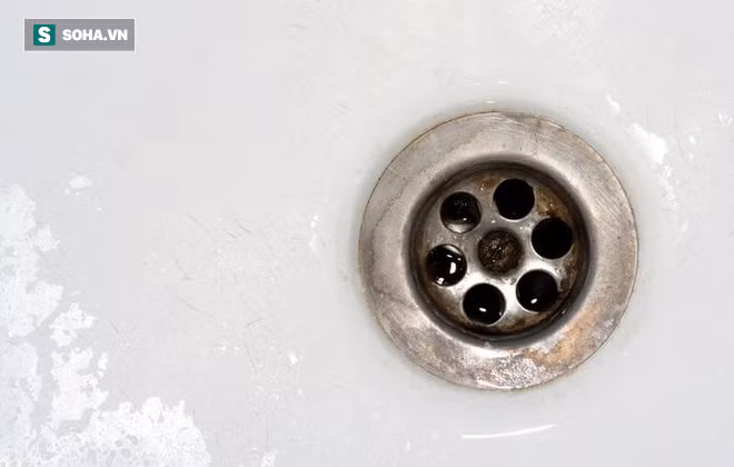 8 lỗi khi rửa bát đĩa gây hại sức khỏe ai cũng có thể mắc - Ảnh 4